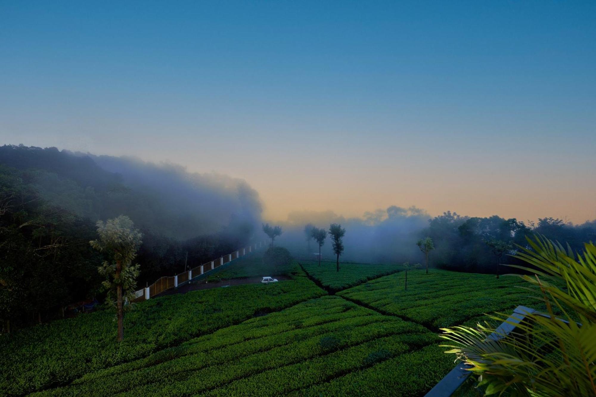 De Rock Jungle Living Resort Coonoor Eksteriør billede