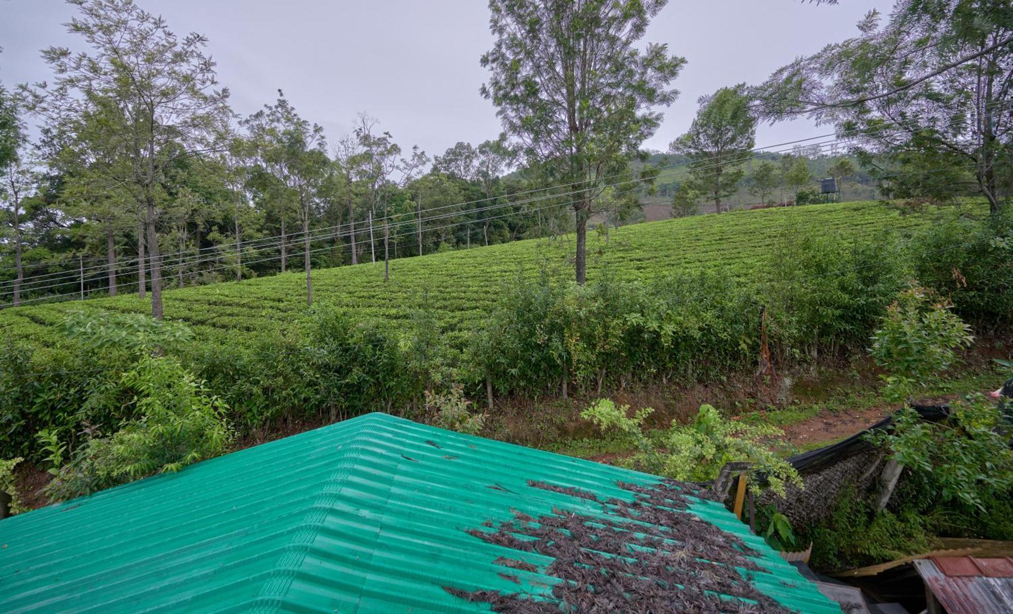 De Rock Jungle Living Resort Coonoor Eksteriør billede